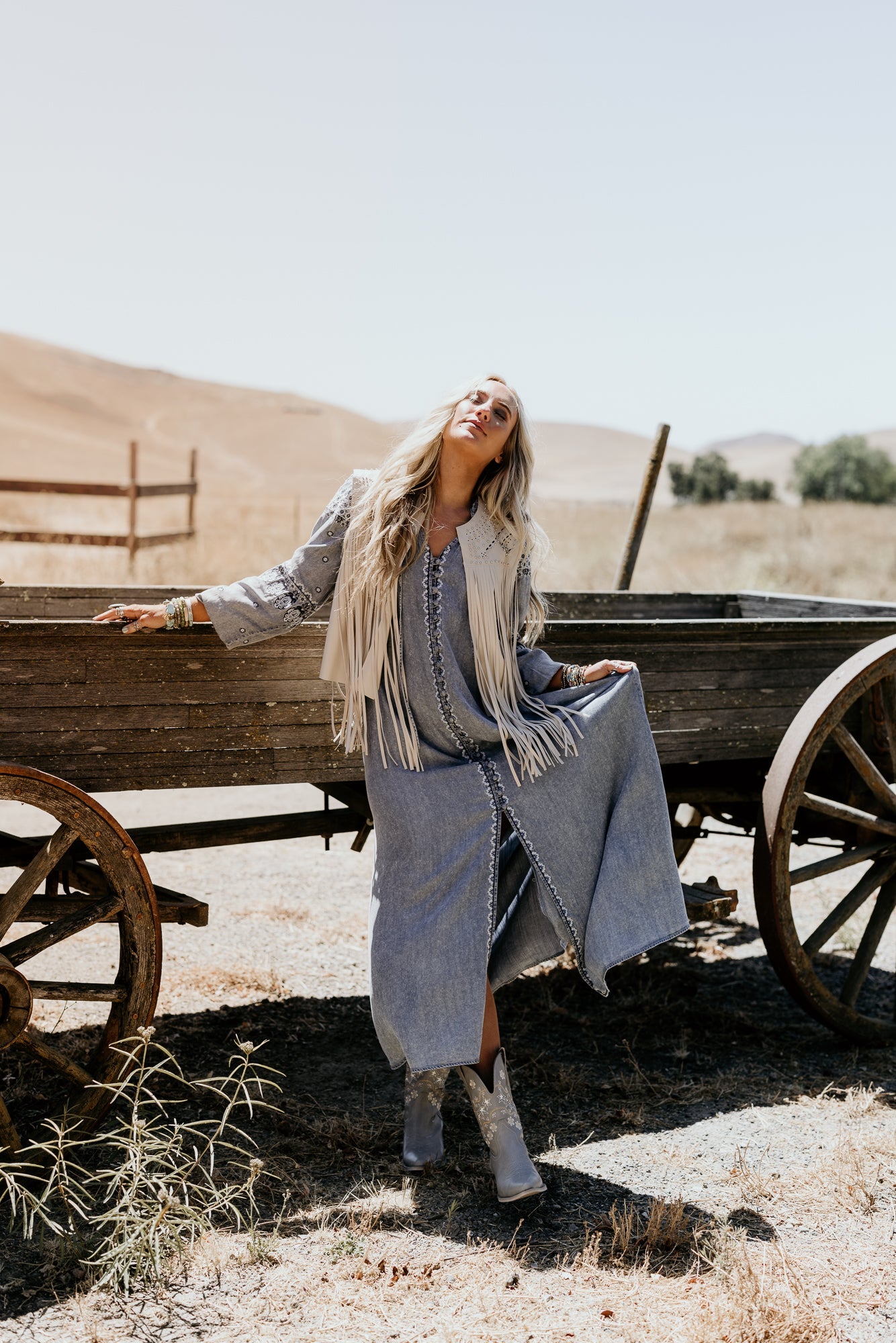 Bluegrass Button Embroidered Maxi Dress - Light Wash